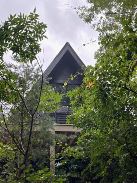 A Frame Of Mind Villa Dahlonega Bagian luar foto