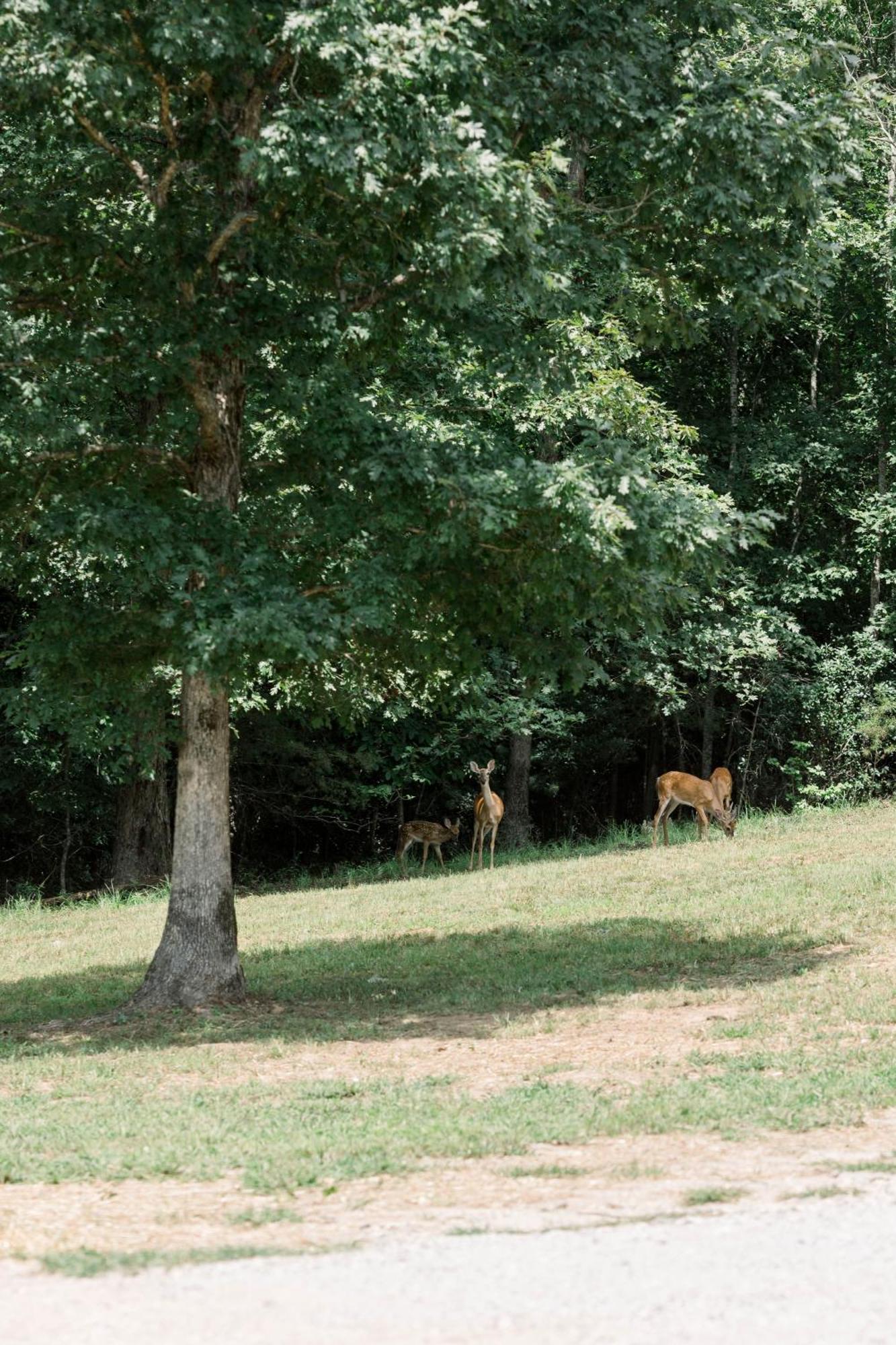 A Frame Of Mind Villa Dahlonega Bagian luar foto